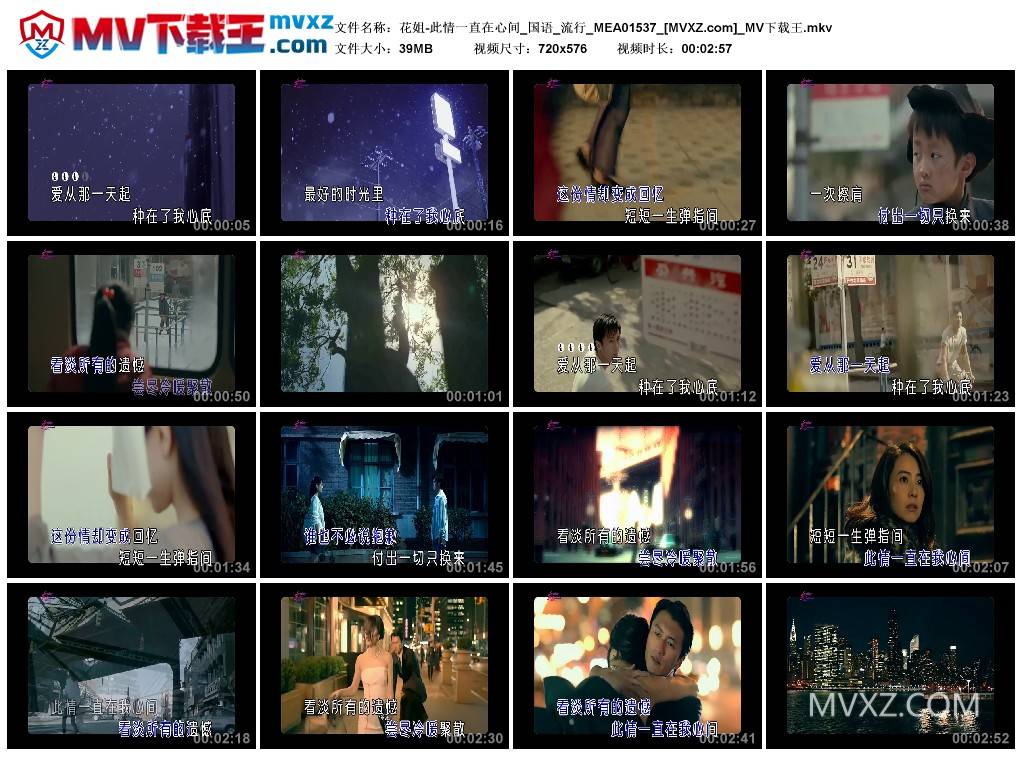 花姐-此情一直在心间_国语_流行_MEA01537